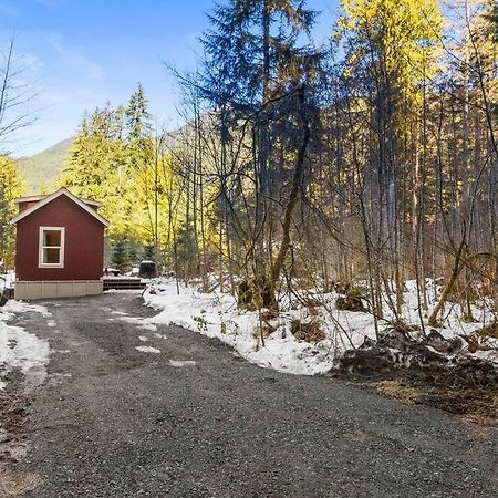 Cozy Tiny Home Steps Away From Mt. Rainier Ashford Kültér fotó