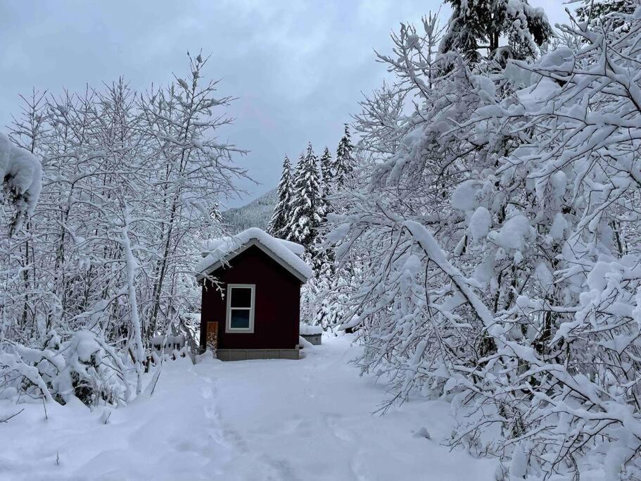 Cozy Tiny Home Steps Away From Mt. Rainier Ashford Kültér fotó